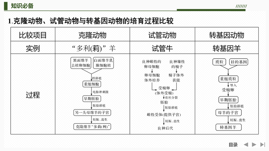  试管动物