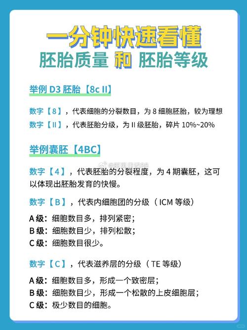 试管婴儿免疫力低需要特殊照顾吗？