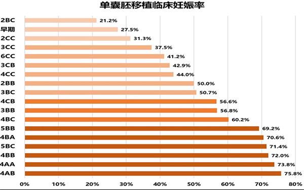  妊娠成功率