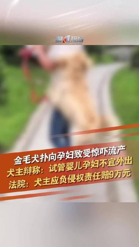 宠物养殖、狗的生殖、试管婴儿技术