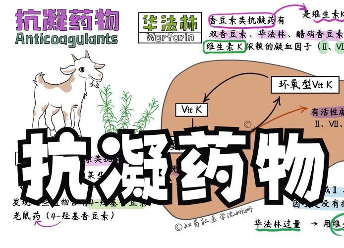  抗凝治疗