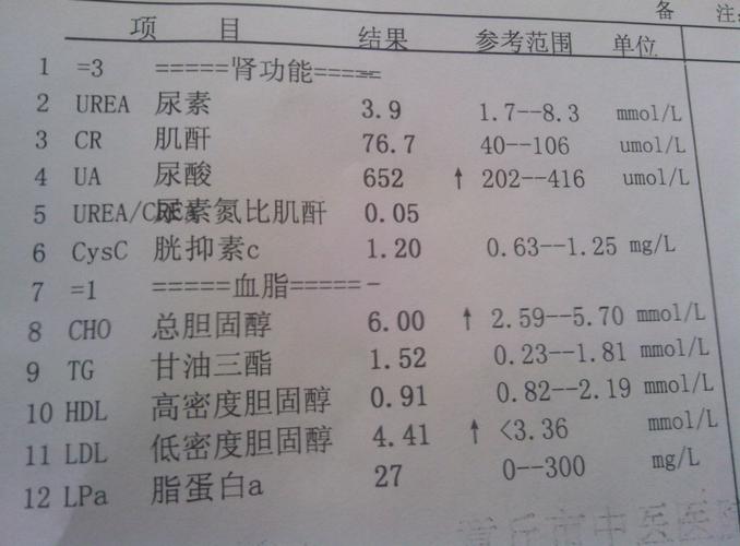 肾功能检查