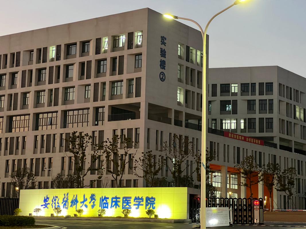 安医大生殖医疗