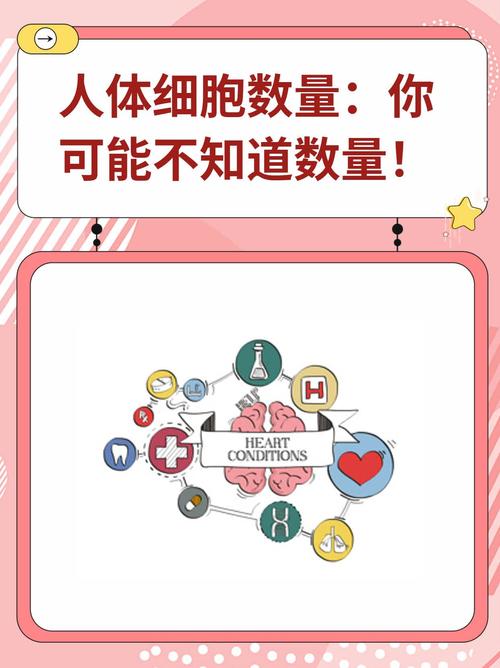 细胞数目