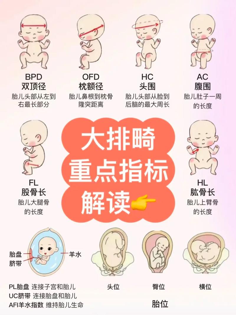 大排畸