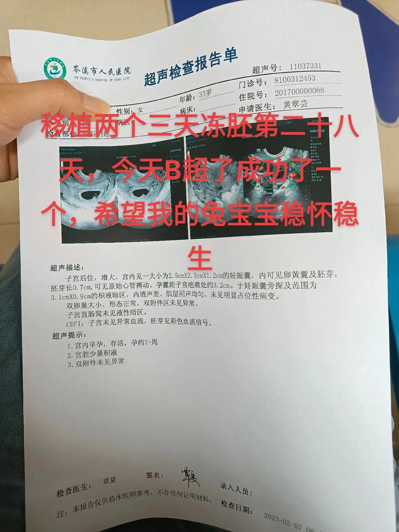 试管婴儿移植后悔
