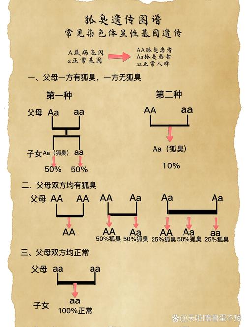  狐臭遗传