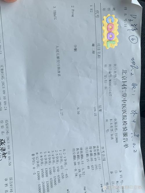  单胚胎移植