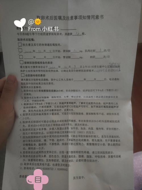 试管婴儿手续