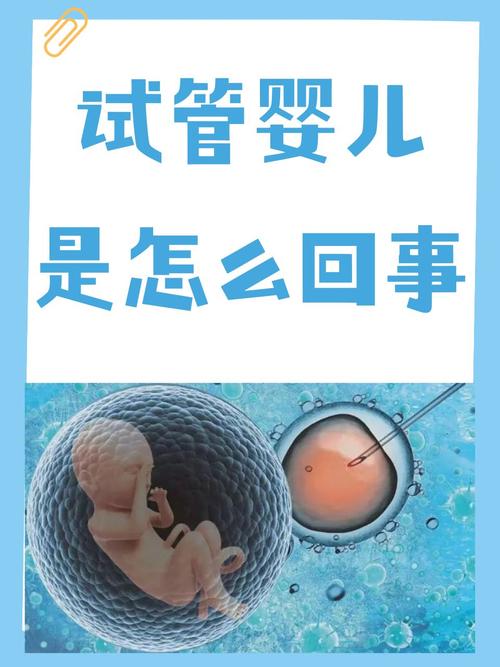 试管婴儿医疗