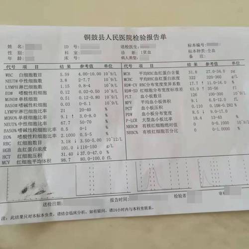 血值 307