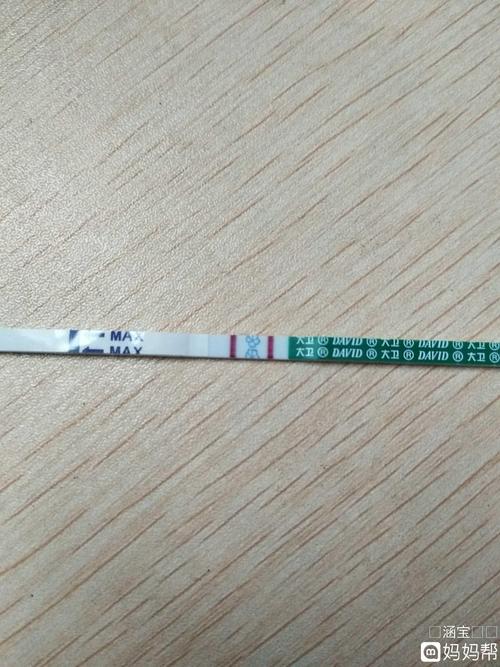  怀孕测试