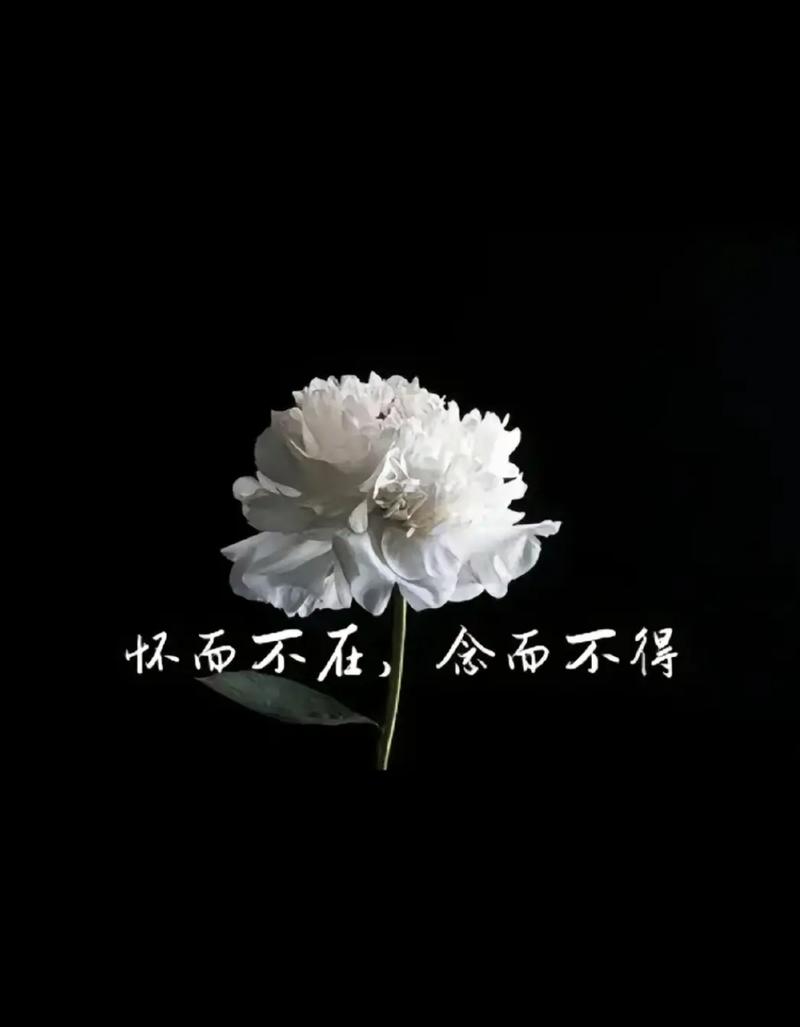 遗憾