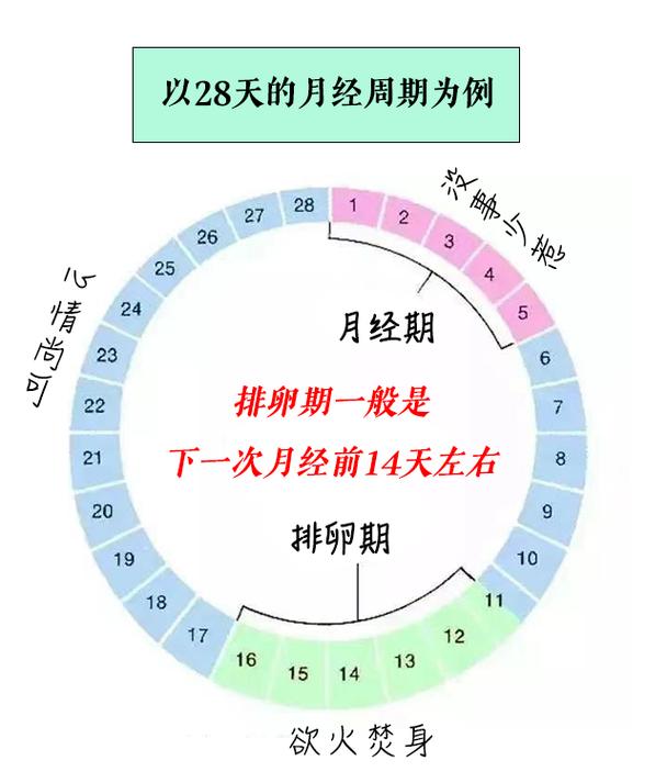  时间周期