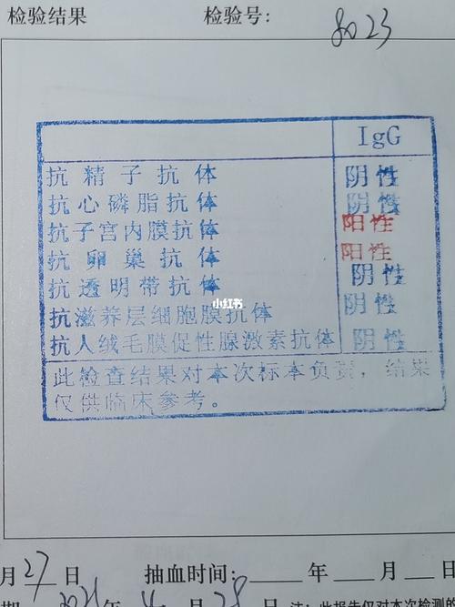  抗子宫内膜抗体