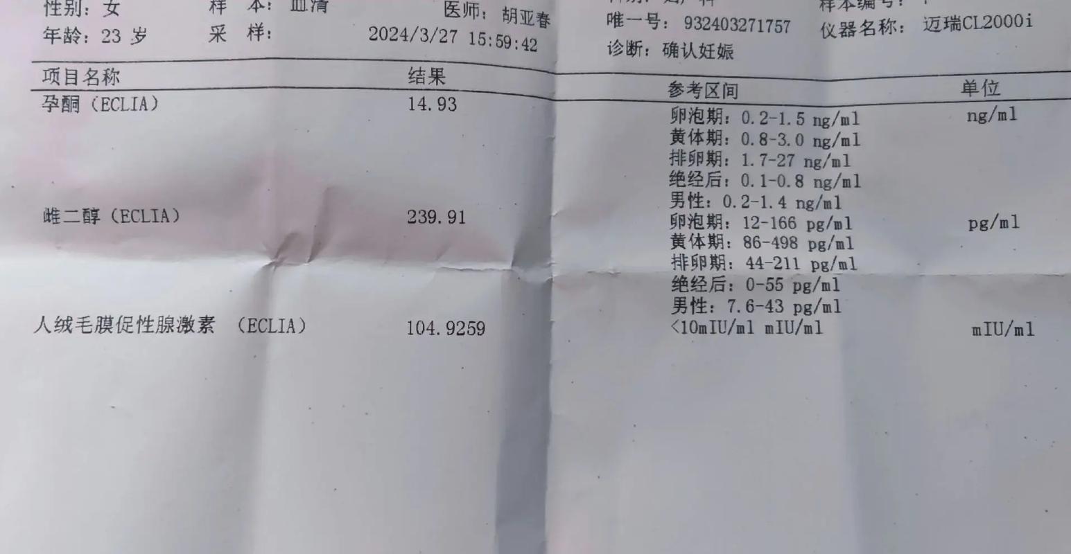  妊娠确认