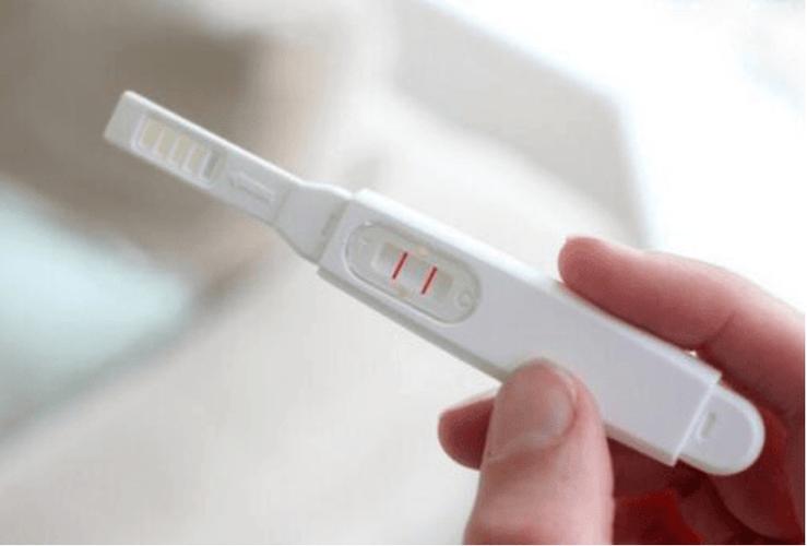 试管婴儿孕期检查