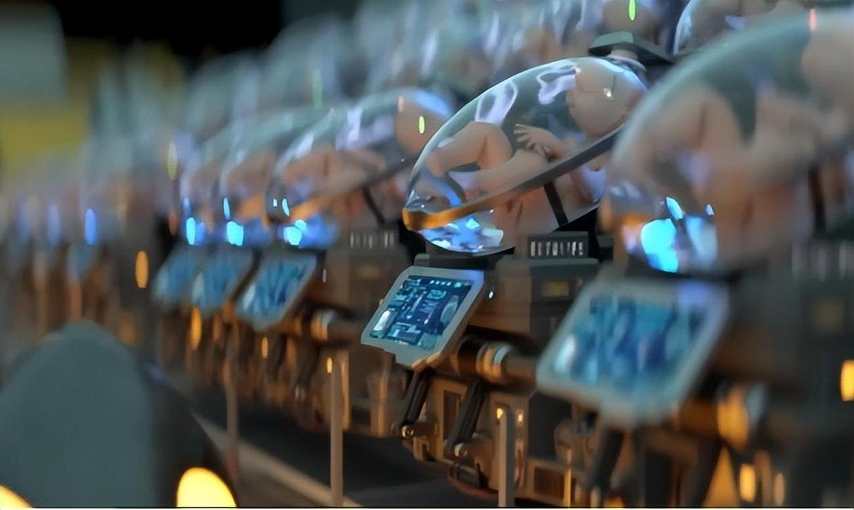  人造子宫