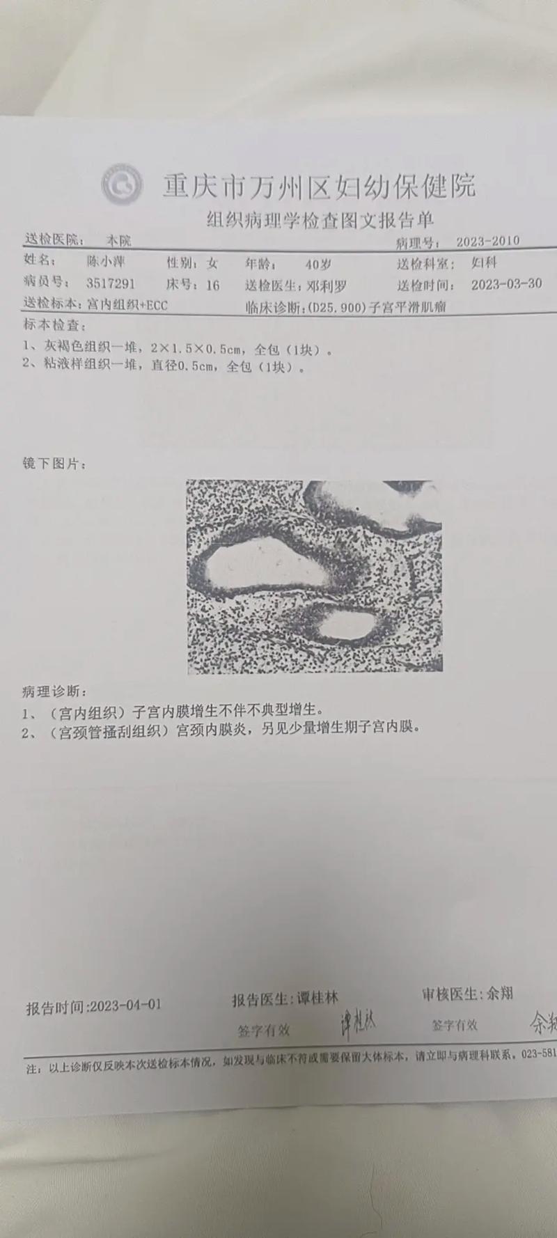 内膜检查