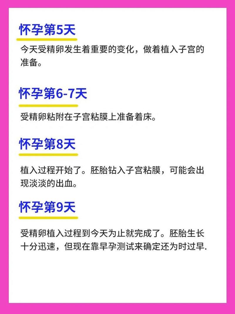 40 天着床