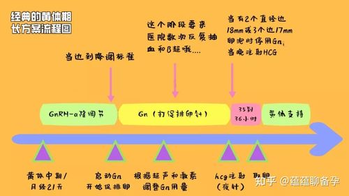  长方案