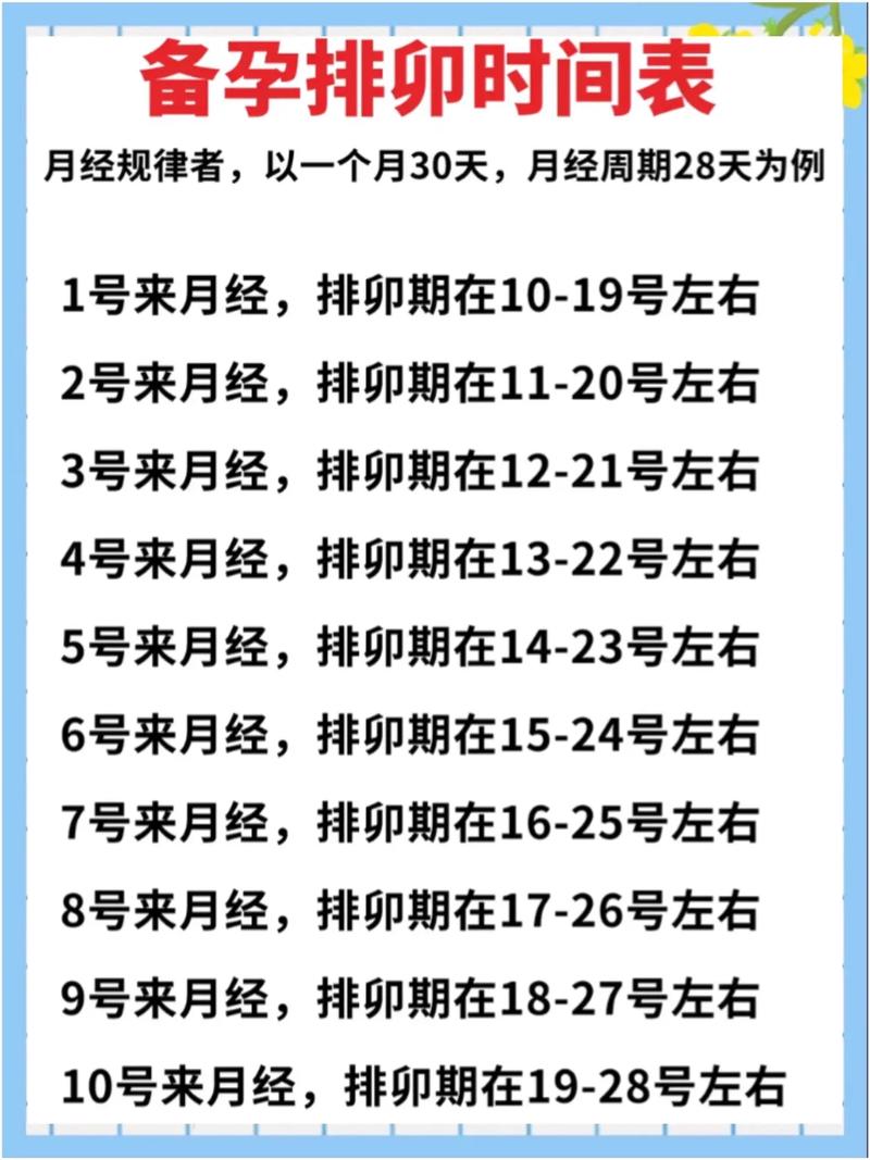 排卵促进期