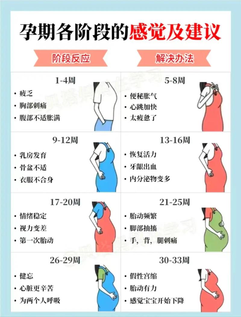 怀孕反应