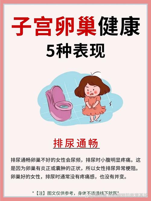 子宫健康