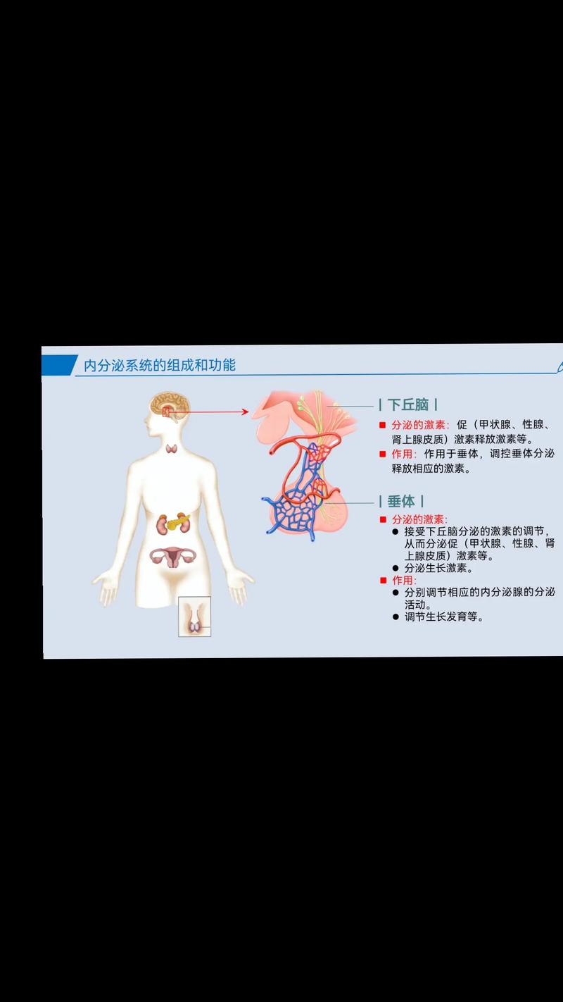  激素