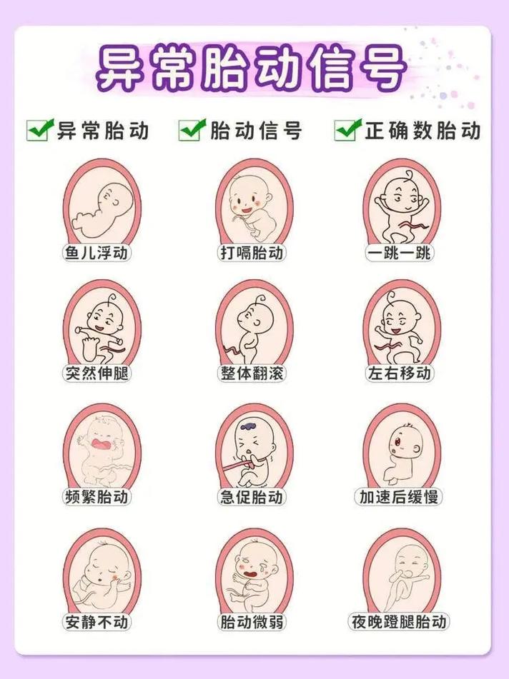 92 胚胎