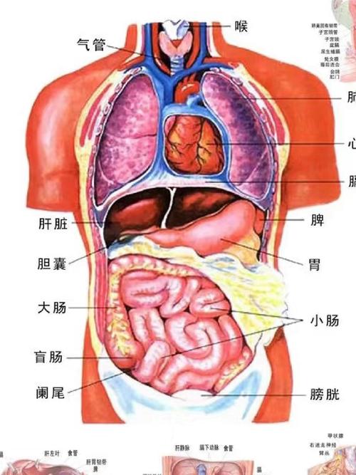  疼痛感