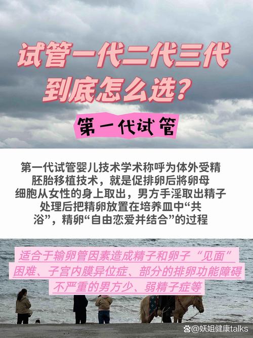 传统试管婴儿