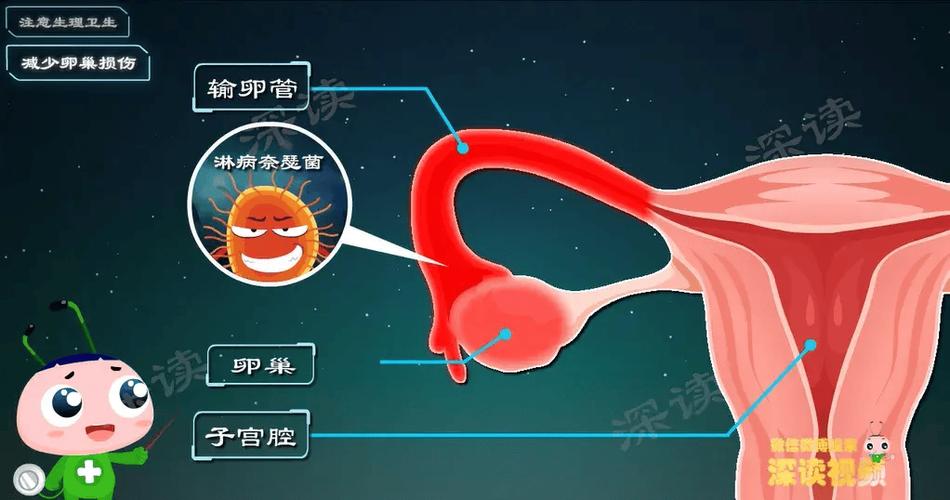 卵巢炎症