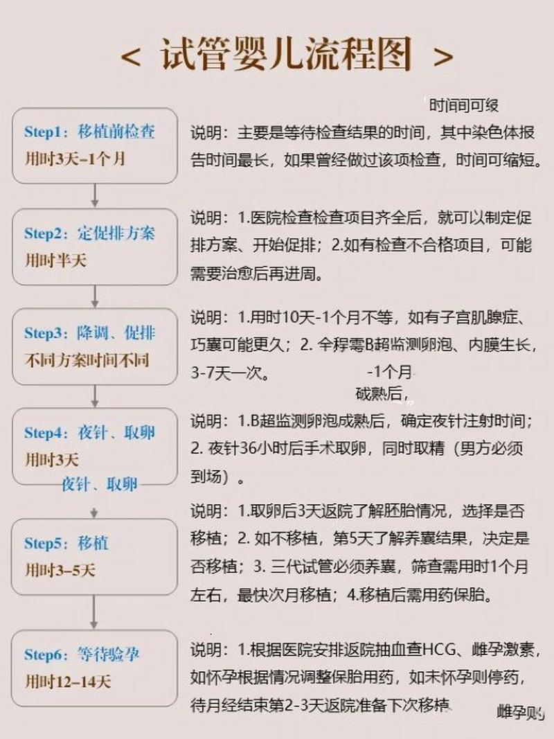 试管婴儿时间流程