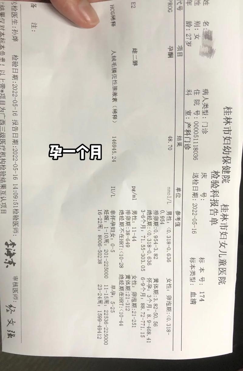 检查结果