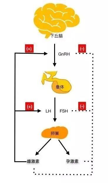  长降调节