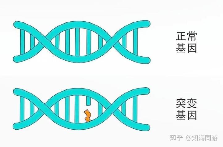 基因问题
