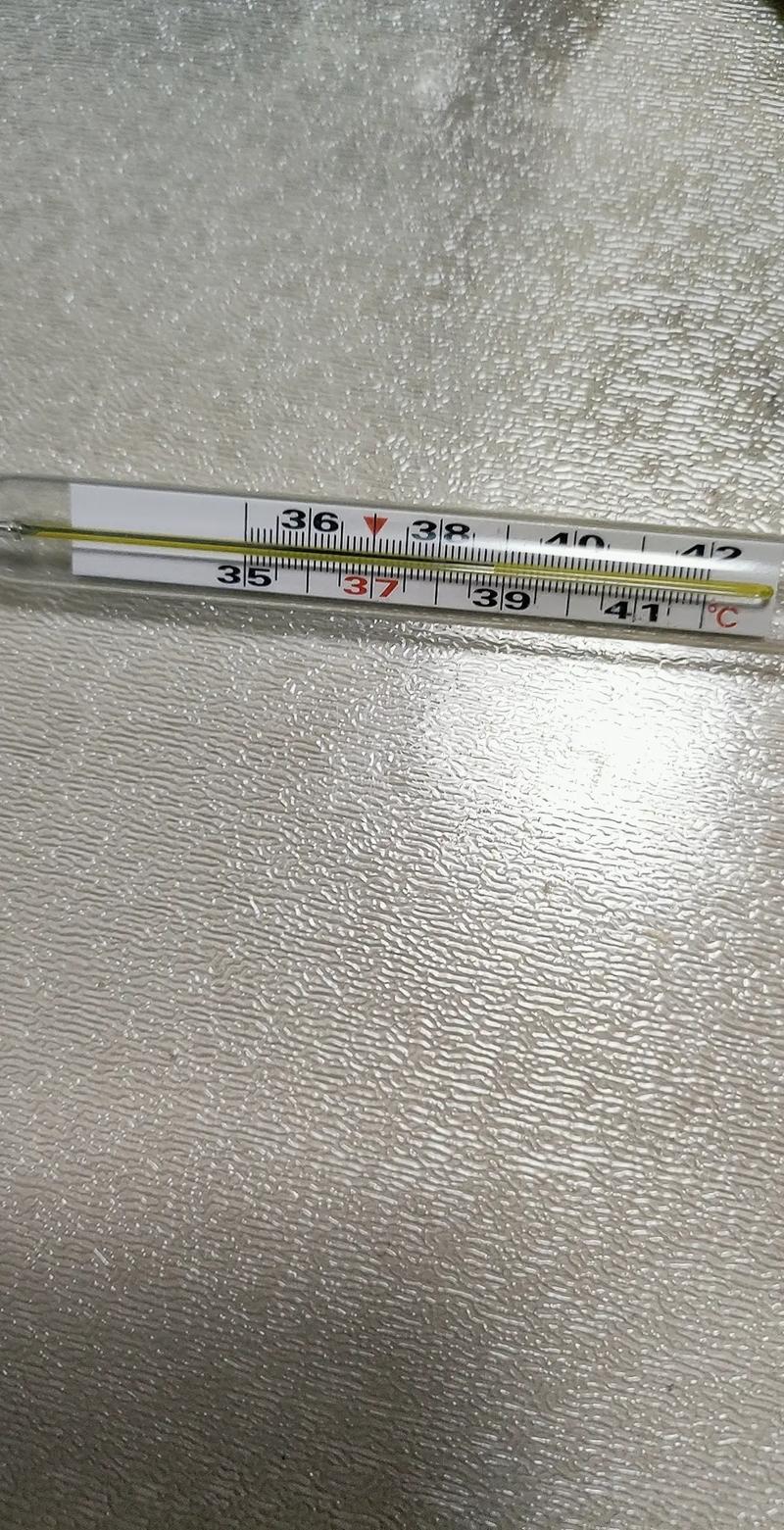 发高烧