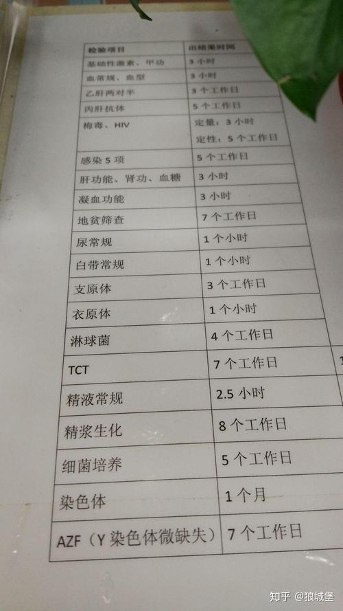 求子经历