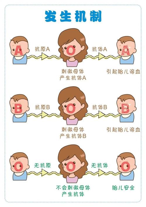 试管婴儿的血型为什么不随母体？