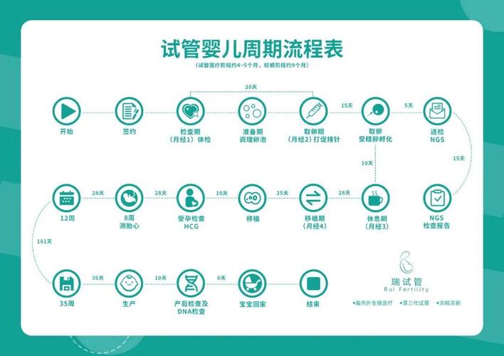 试管婴儿流程时间表：各方案详解