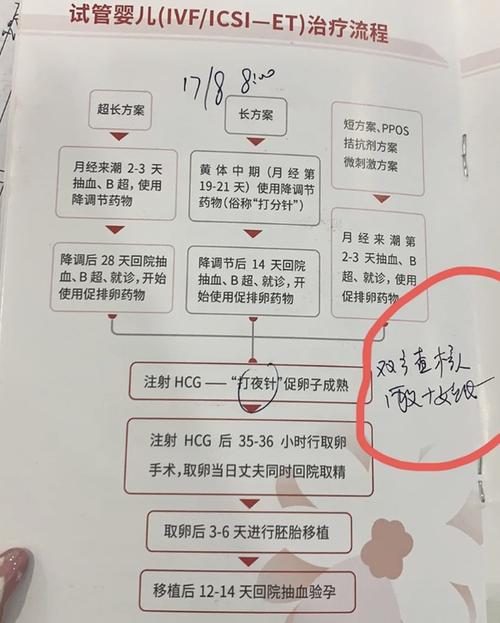 西南医院试管婴儿流程与检查指南