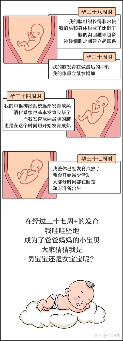 自然受孕差异