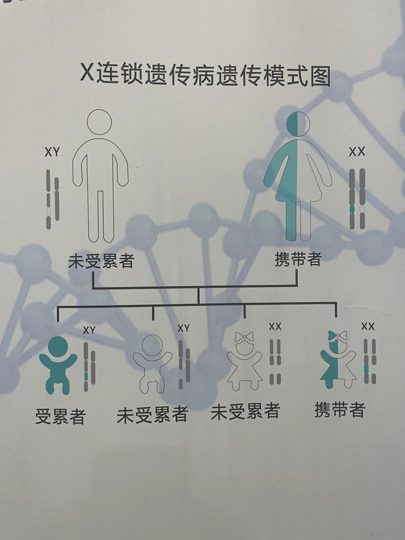  遗传病阻断