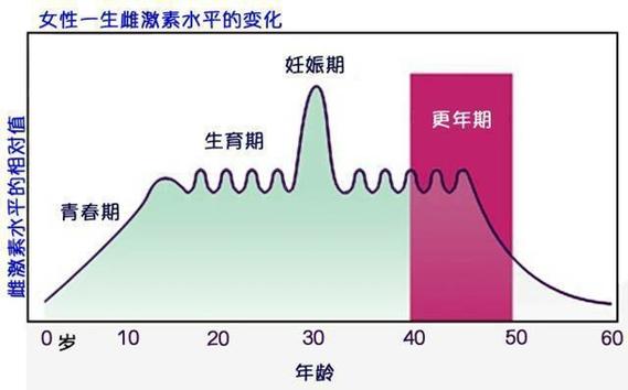 雌激素水平