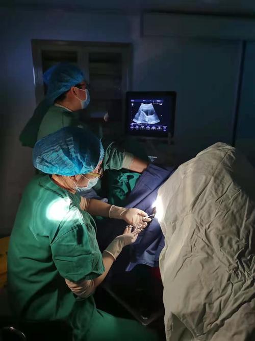 揭秘正规医院试管婴儿手术全过程