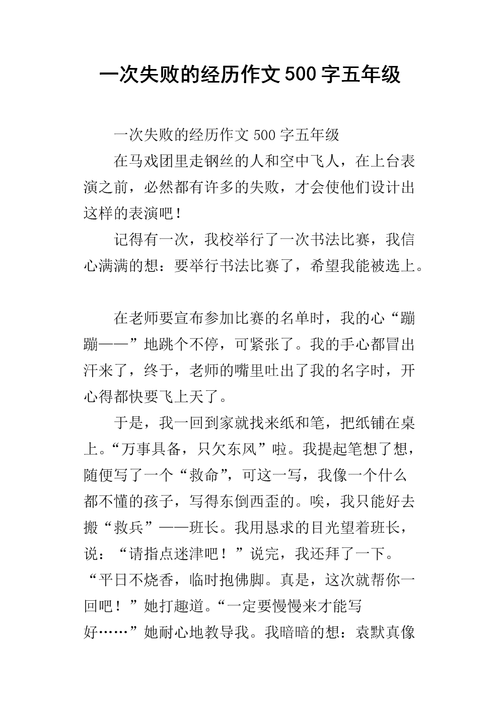  失败经历