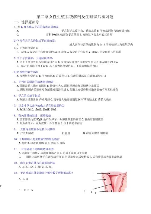 生殖选择