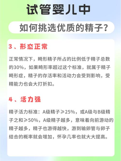 试管婴儿精子筛选的法律边界探讨