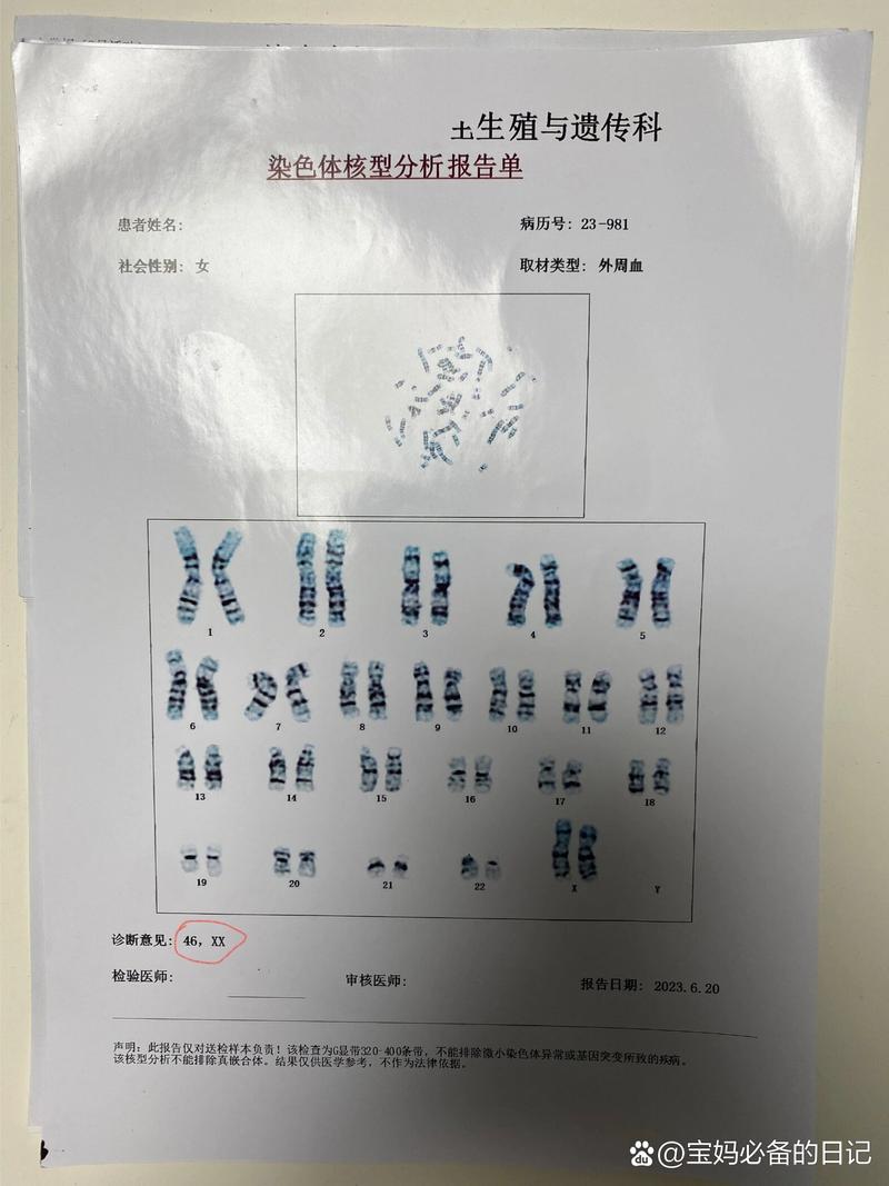 染色体检测